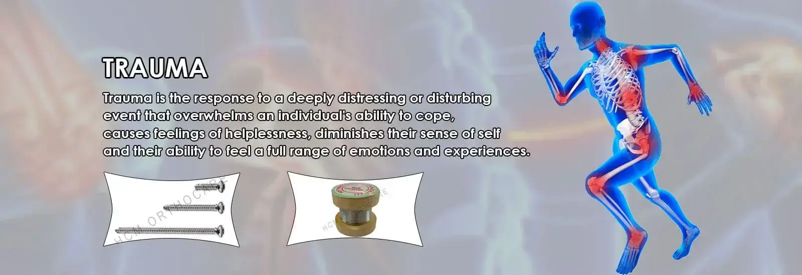 Spinal Implants & Bone Fixation Systems — HCM Orthocare India